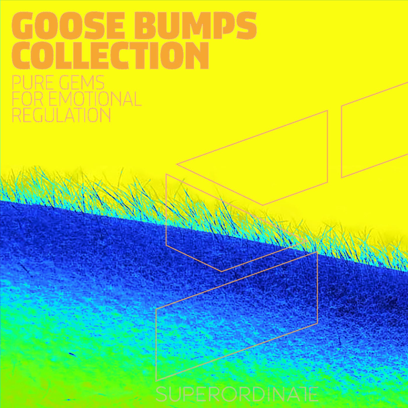 VA - Goose Bumps Collection, Vol. 6 [SUPER345]